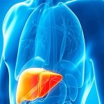 Liver-Function-Profile-Test Liver-Function-Profile-Test